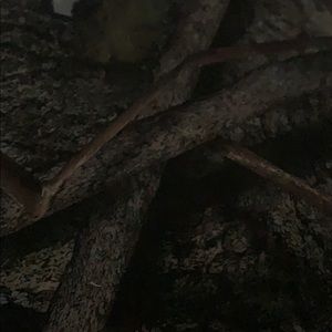 Meet your Posher, Jon